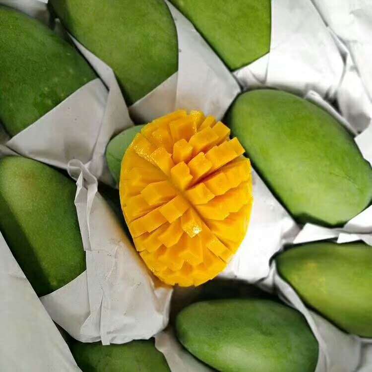 微信圖片_20181022163839