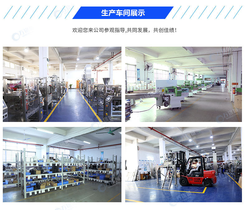 給袋式顆粒包裝機