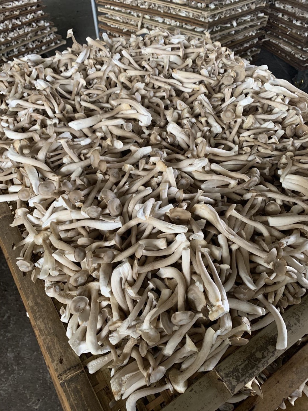 微信圖片_20201105170319