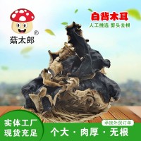 菇太郎頭茬大白背毛木耳農家特產干貨散裝餐飲火鍋食堂商用可出口