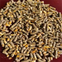 苜蓿草顆粒 草粉適用于牛馬羊家禽動物 牧草顆粒