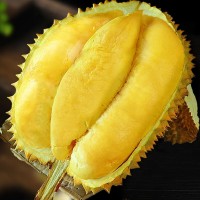 全年供應(yīng)順豐包郵泰國(guó)金枕榴蓮批發(fā)帶殼2-10斤新鮮應(yīng)季水果一件代