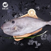 欣隆天鮮東海野生扒皮魚(yú)冷凍海鮮500g-1500g順豐冷鏈剝皮魚(yú)馬面魚(yú)