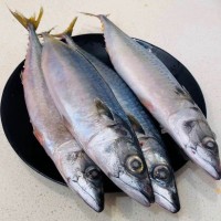 冷凍鮐鲅魚(yú)10斤每箱食堂自助燒烤青占魚(yú)1箱起發(fā)飯店酒家超市批發(fā)
