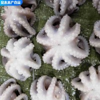 熟凍小章魚麻辣八爪魚迷你短腿八帶魚 批發(fā)海鮮水產翻花八爪魚
