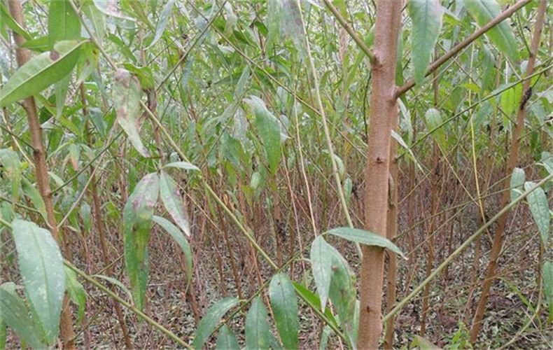 圖片20150207170014