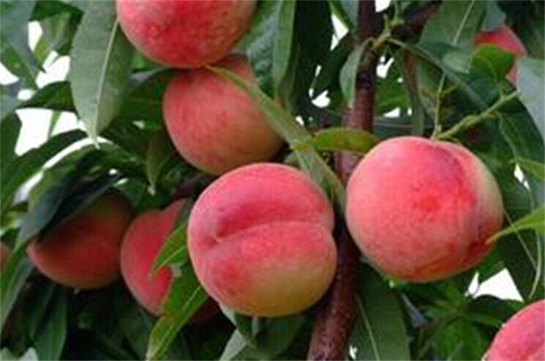 圖片20150207165940