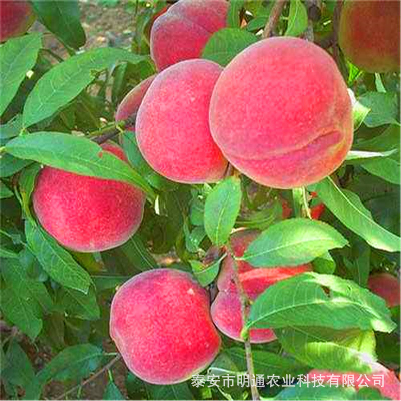 14b9b65ad21ef1f37951826fb4647a