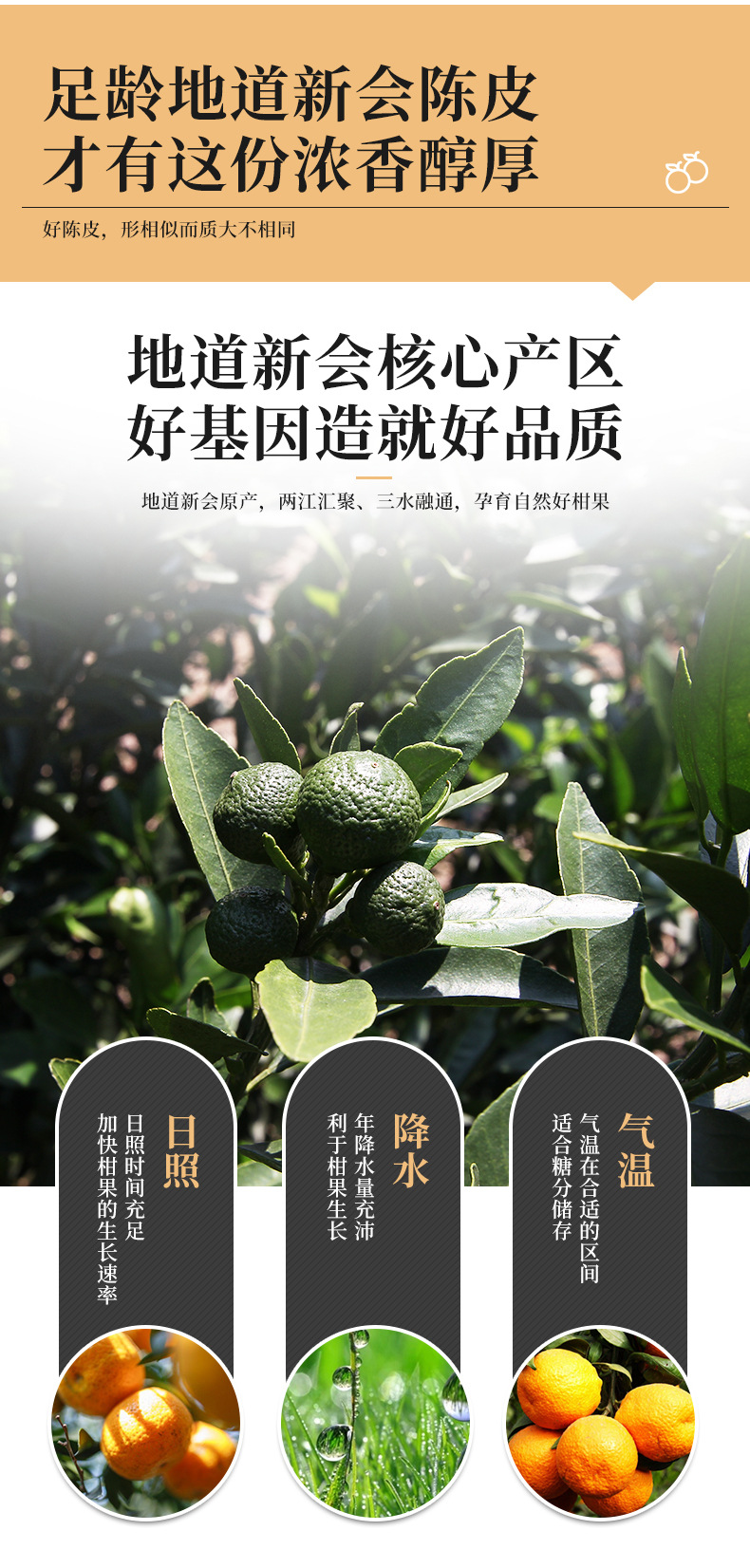 詳情頁(yè)_03.jpg