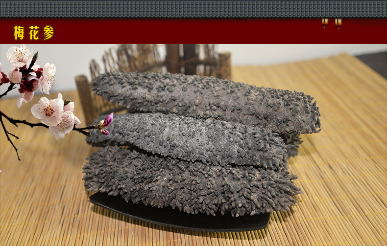 梅花參_01