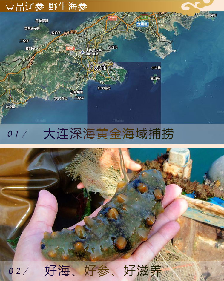 壹品遼參_11