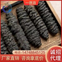 精 選深海龍紋參直銷天然淡干螺紋海參干貨南美 黑刺螺絲參可代發(fā)