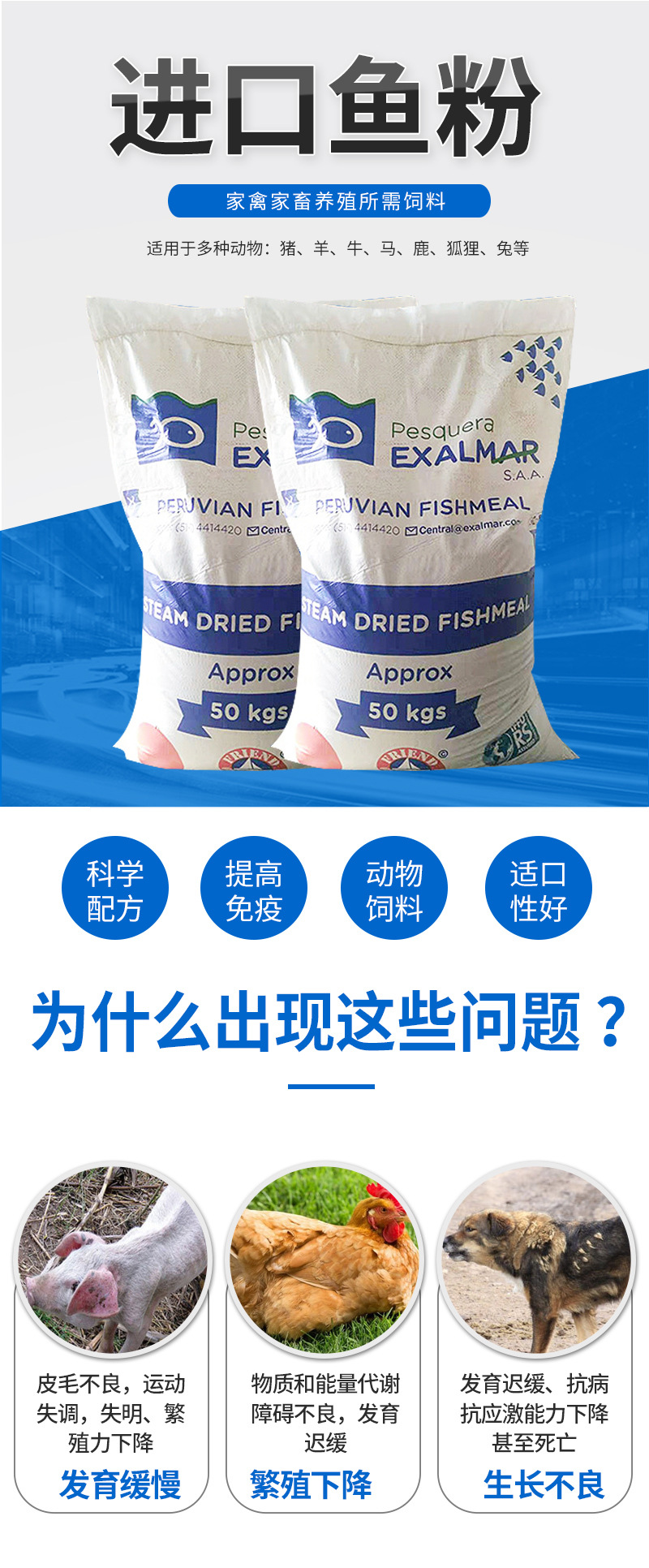 進口證明