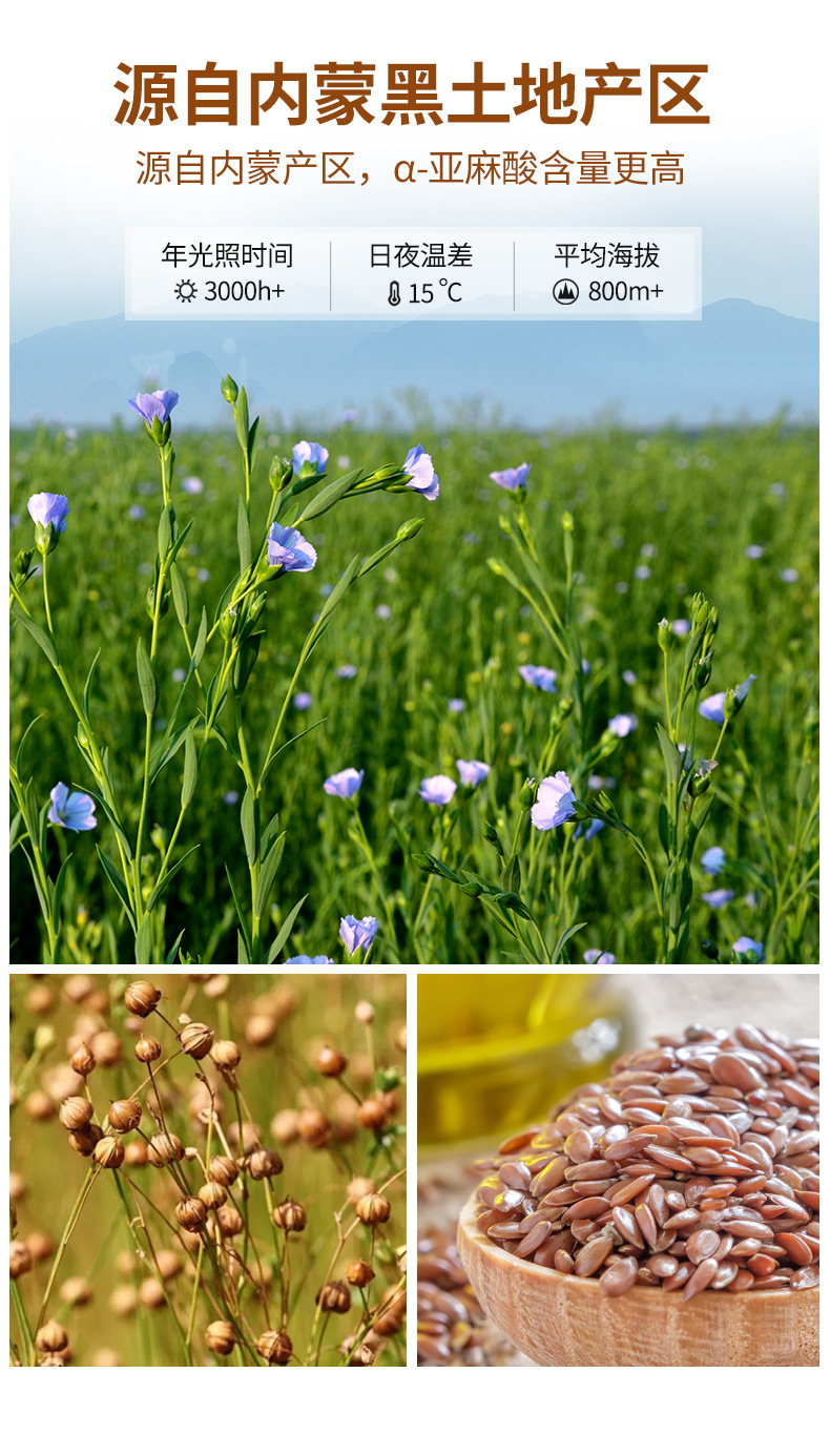 康-5L亞麻 (6).jpg