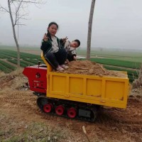 發(fā)動(dòng)機(jī)手推式小型履帶運(yùn)輸車工地養(yǎng)殖場(chǎng)貨物小型履帶運(yùn)輸車