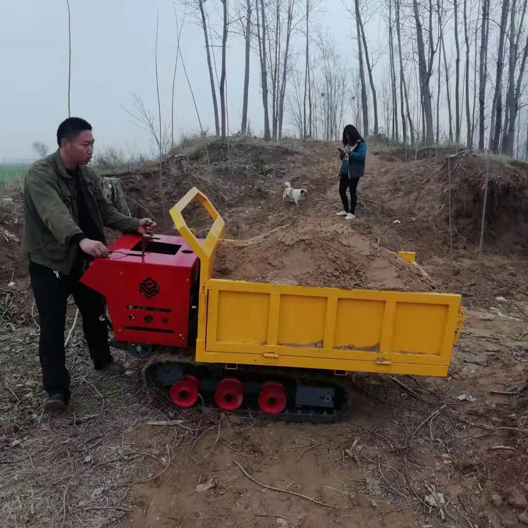 小型履帶運輸車圖片