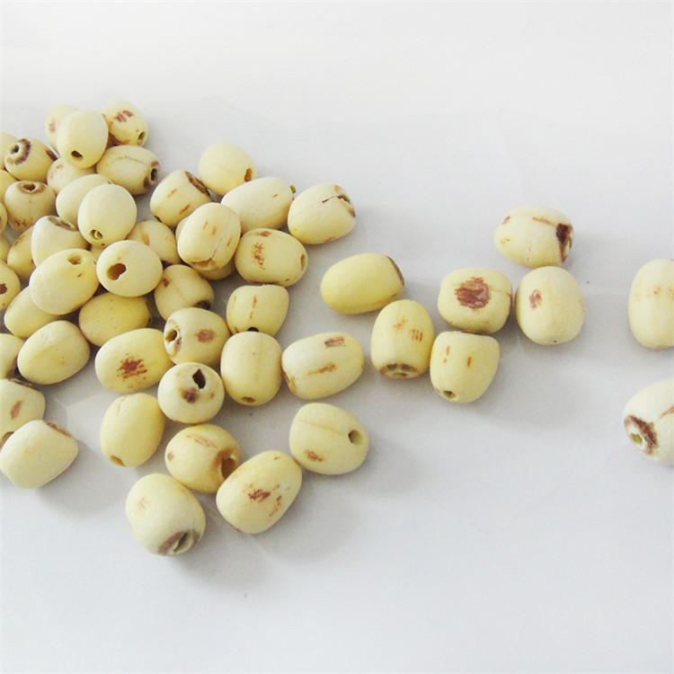 磨皮泰國蓮_13 (1).JPG