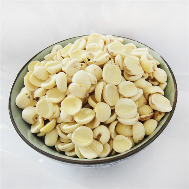 開邊白蓮_13 (3).JPG