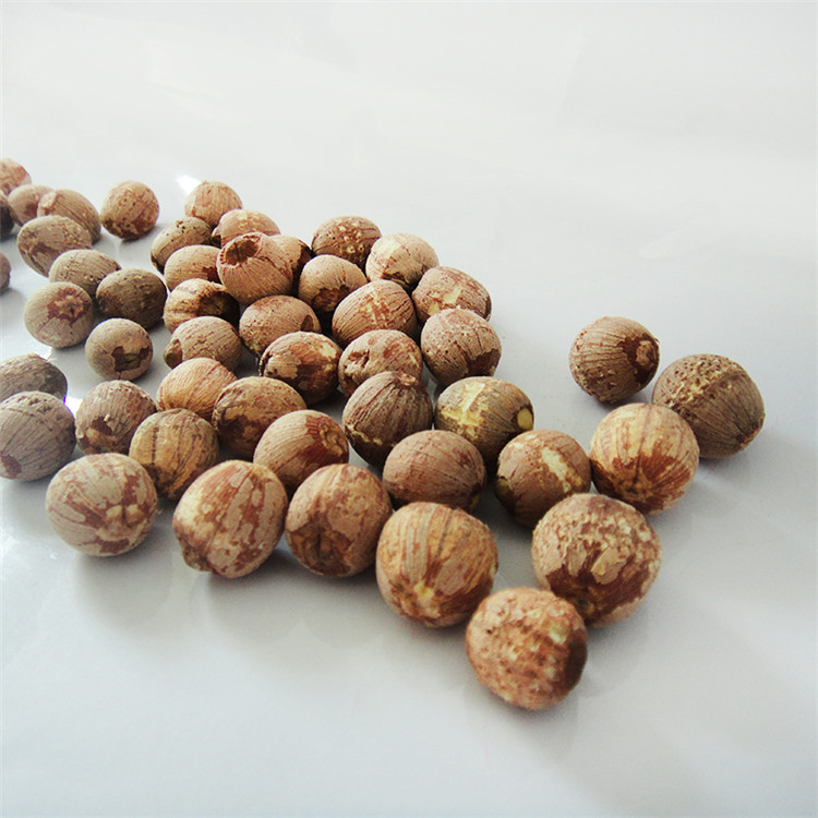 圓粒湘蓮_13 (1).JPG