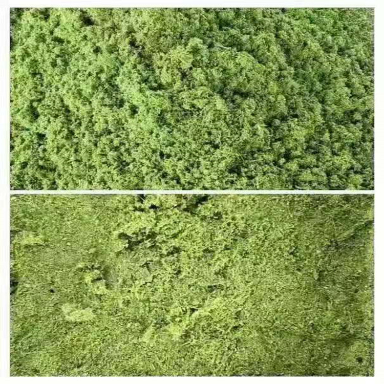 d8c72530339b300e3748736d63804a