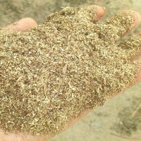 直銷牛羊兔艾桿粉飼料細(xì)粉養(yǎng)殖袋裝原料純艾草秸稈粉碎無雜質(zhì)草料