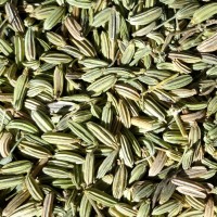 小茴香甘肅民勤產(chǎn)地供應 無雜質 水分 沙土 干凈 飽滿 色澤鮮綠