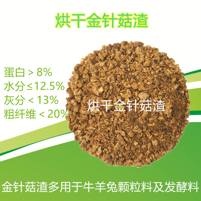 112409_白底圖彩指標