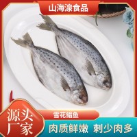 雪花鯧魚 斑點鯧魚海鮮凍品食品 酒店餐飲食材供應(yīng)冷凍雪花鯧