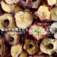 供應(yīng)烘干山楂邊皮 山楂兩頭片 飼料用山楂干 山楂下腳料