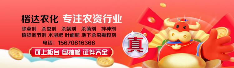 楷達(dá)門頭手機(jī)端