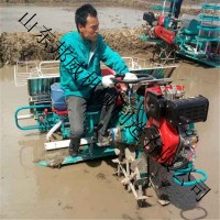 農(nóng)作物秧苗插秧機播種機 農(nóng)用水稻插秧機 小型家用種秧機械廠家