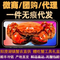 團(tuán)購(gòu)現(xiàn)貨大閘蟹陽(yáng)澄湖鎮(zhèn)鮮活全母蟹公母蟹批發(fā)活體代發(fā)順豐禮盒裝