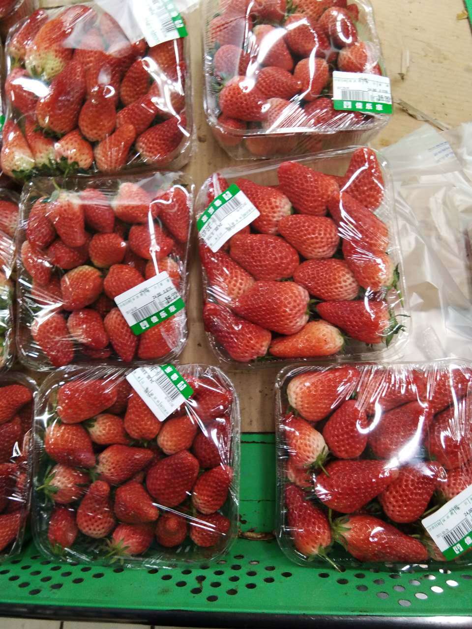 微信圖片_20170522165106