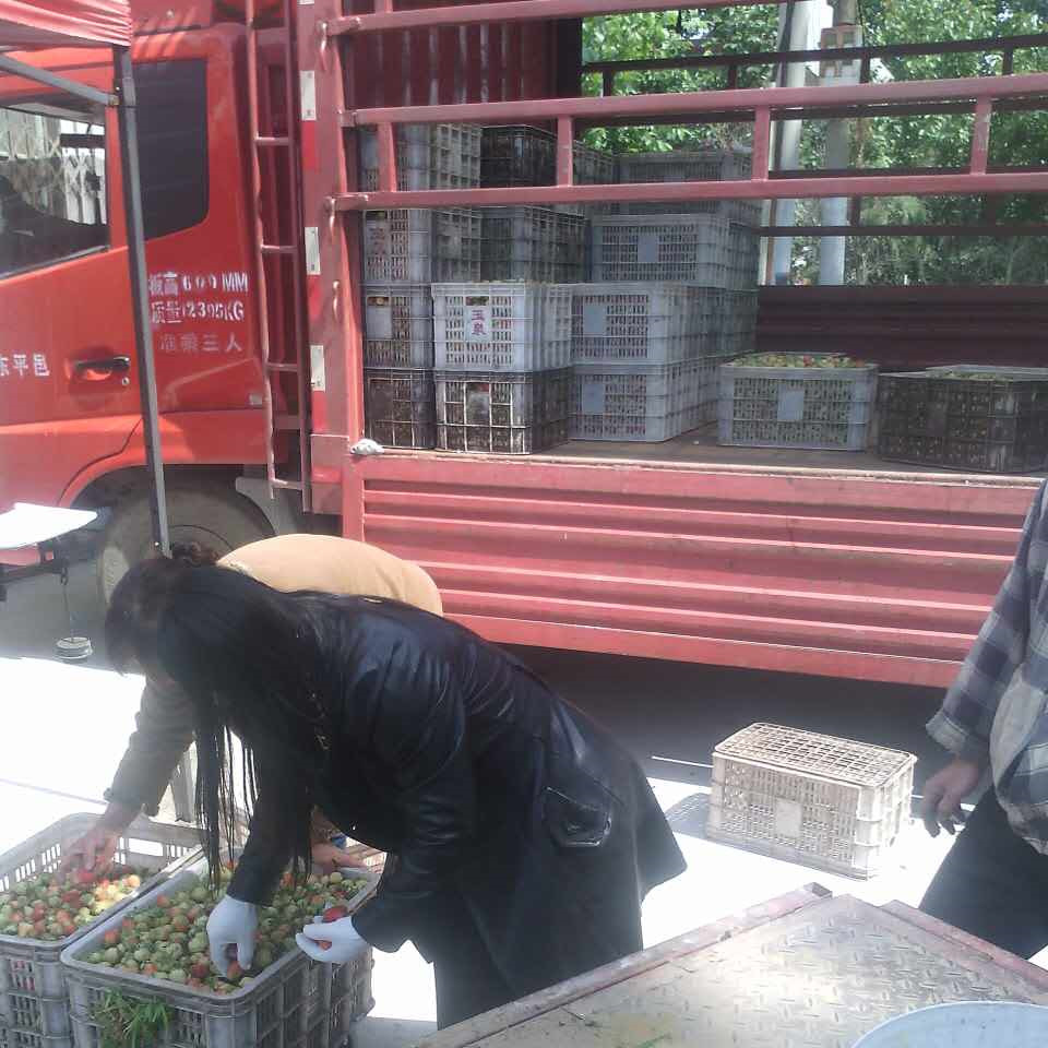 2829623169_104142887