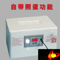 伊科貝特仿生水床孵化機(jī) 家用型20枚孵化器小型 自動(dòng)控溫孵蛋器