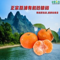 國(guó)家認(rèn)證有機(jī)水果正宗有機(jī)荔浦砂糖桔無(wú)籽蜜桔批發(fā)高品質(zhì)現(xiàn)摘現(xiàn)發(fā)