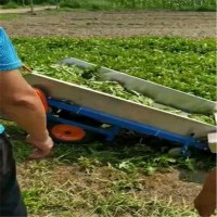 新型電動(dòng)葉菜收獲機(jī) 手扶式電池款蒲公英收割機(jī) 青菜收割機(jī)