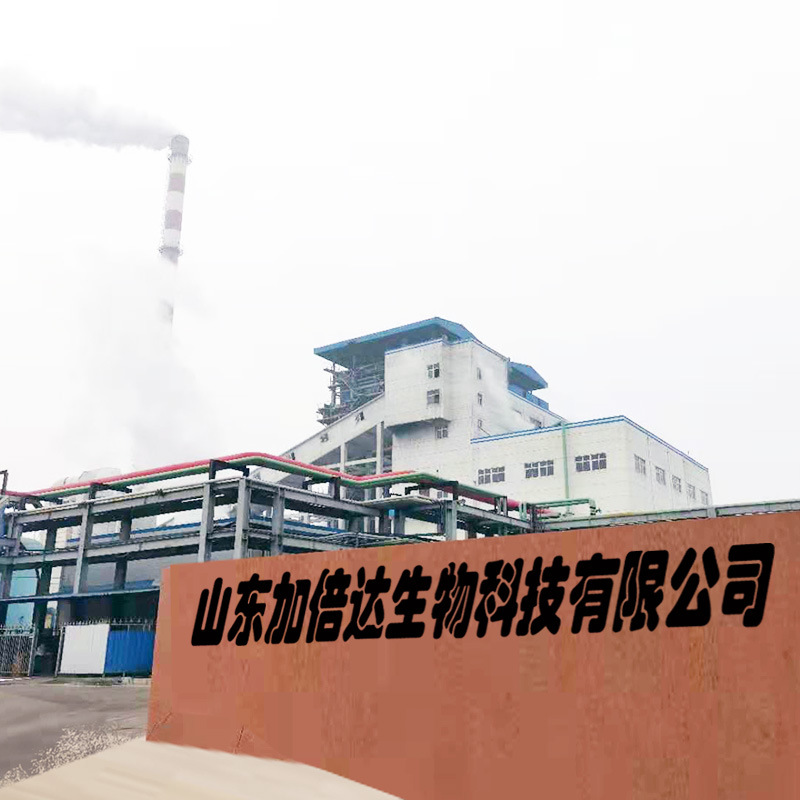 廠區(qū)大門(mén)