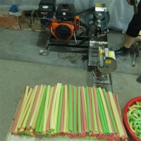 新款自動(dòng)切玉米大米膨化機(jī)圖片康樂(lè)果雜糧膨化機(jī)雙機(jī)江米棍膨化機(jī)