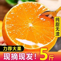 愛媛38號果凍橙四川薄皮手剝爆甜柑橘桔子當(dāng)季時令新鮮水果