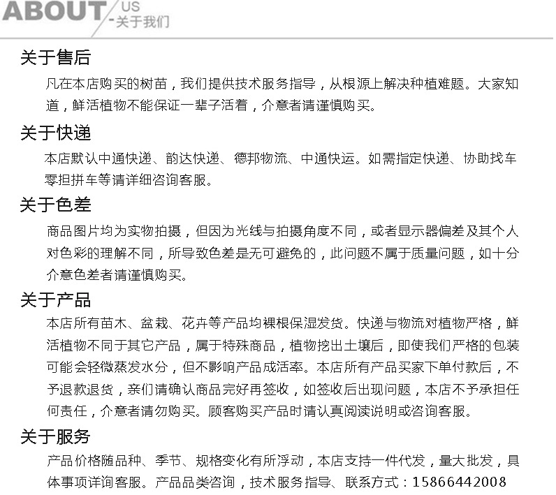 新-關于我們阿里-1