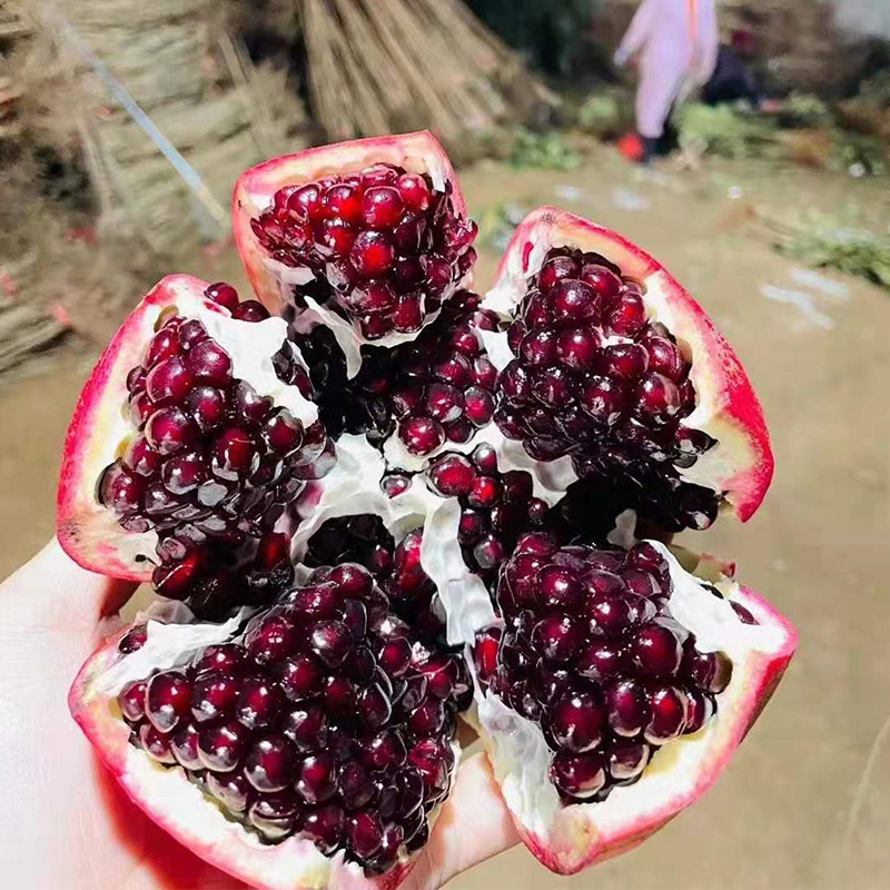 1_0002_微信圖片_20201204192743