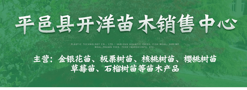 開(kāi)洋苗木精品_01