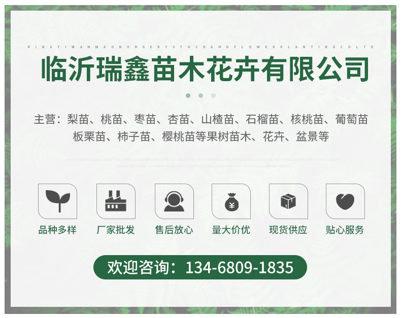 企業(yè)微信截圖_16429960226396