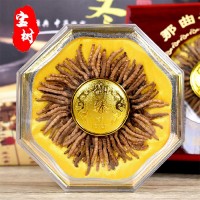 西藏那曲網(wǎng)紅小蟲草 西藏冬蟲夏草100條裝一盒 產(chǎn)地直供 量大價優(yōu)