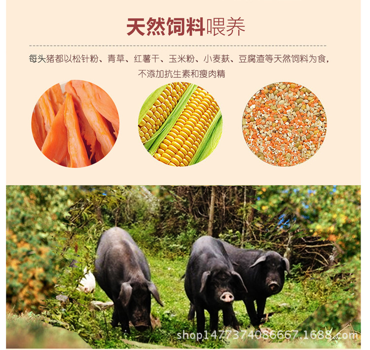 未標(biāo)題-1_05