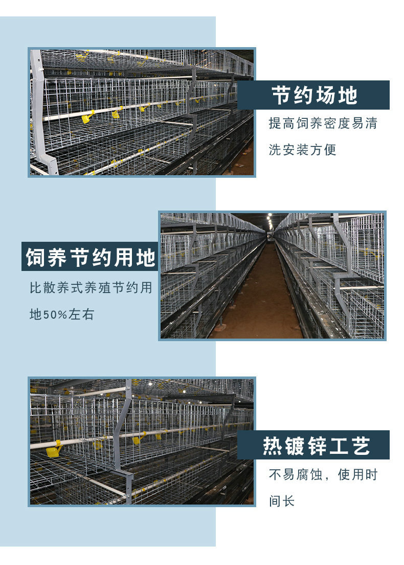 肉雞籠細(xì)節(jié)