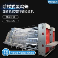 大型階梯式蛋雞籠養(yǎng)殖場(chǎng)三層四層養(yǎng)雞設(shè)備熱鍍鋅蛋雞籠具加撿蛋機(jī)