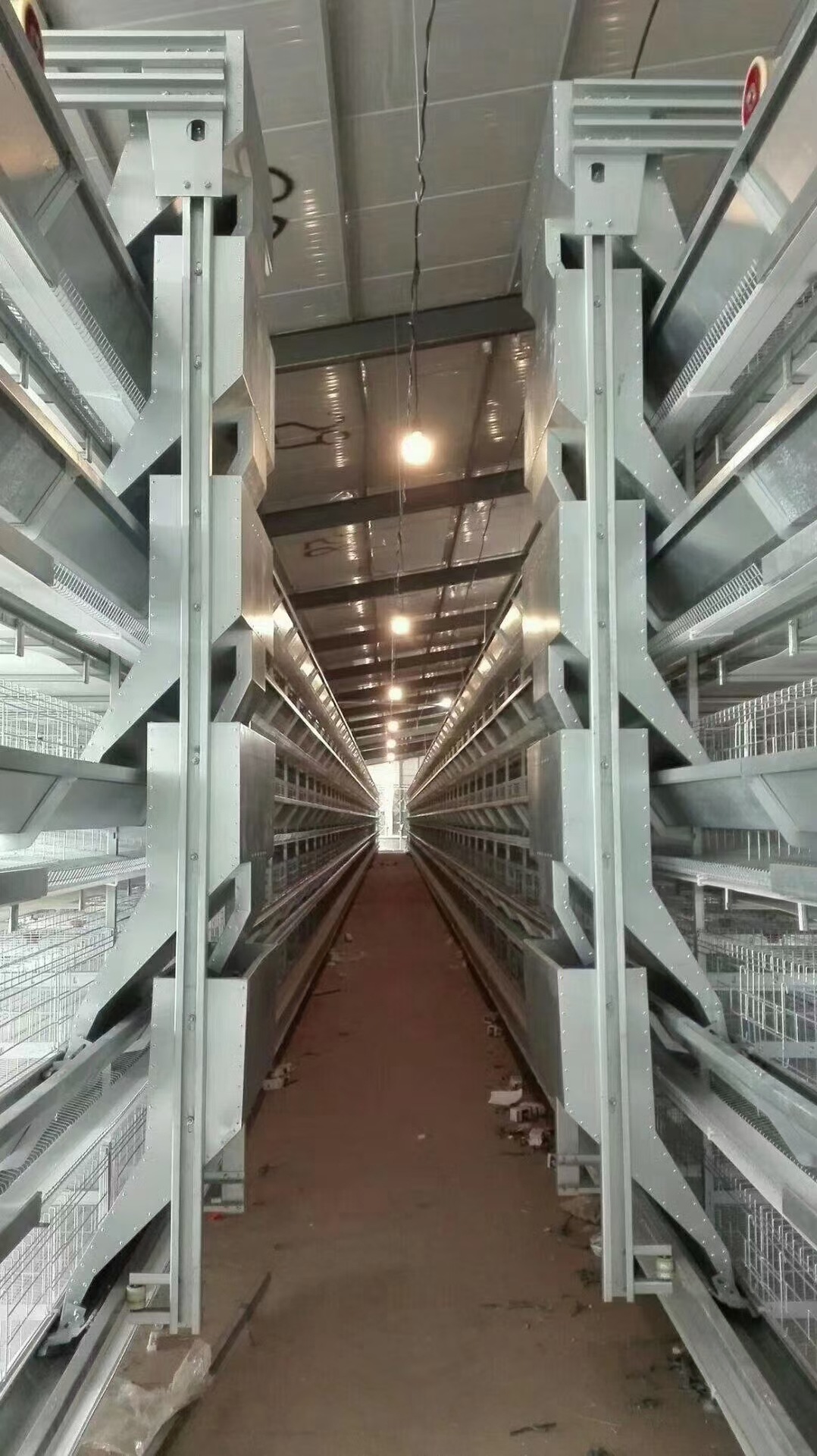 5層蛋雞籠大層疊