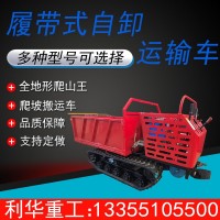 小型農(nóng)業(yè)機械山地履帶運輸車手扶農(nóng)用拖拉機全地形爬山虎運輸車